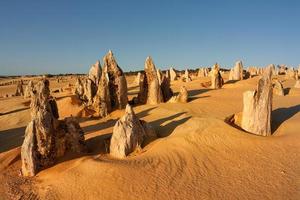 los pináculos del parque nacional de nambung son asombrosas estructuras naturales de piedra caliza, algunas de las cuales alcanzan los cinco metros de altura. El oeste de Australia. foto