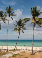 playa en la isla de bantayan, visayas, filipinas. foto