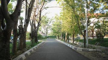 view of a deserted street with lush trees on the left and right photo