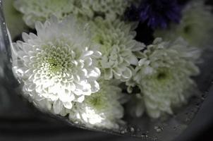 Flowers in the design of natural dark tones. photo