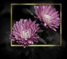 Flowers in the design of natural dark tones.Gold Frame photo