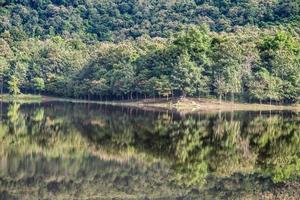 Beautiful forest lake in the morning.Thailand photo