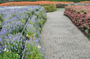 Flower garden with colorful background. photo