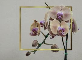 Flowers in the design of natural dark tones.Gold Frame