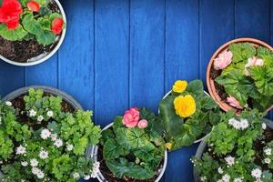 Group of flower pot on wood floor photo