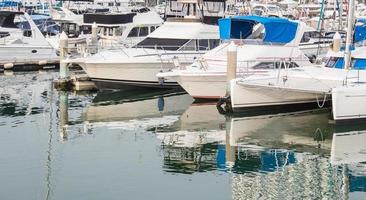 Many luxury yachts parked in a bay on the sea photo