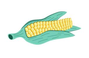 Corn vector isolated on white background. Fresh, health food icon are shown.