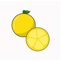 Flat Design of fruit vegetable lemon vector