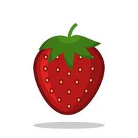 Strawberry vector isolated on a white background