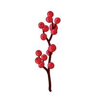 Christmas holly, European ilex decoration, red berry, branche, twig isolated on white background vector