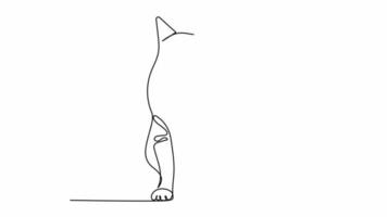 continuous line British Shorthair cat lying on a white table Viewing Copy Area Banner video