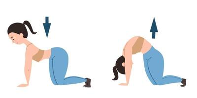 The girl is on all fours in the pose of a cat. Exercises for the back, how to do with the arrows. vector