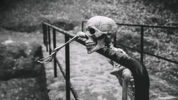 artificial skeleton looking away resting parapet