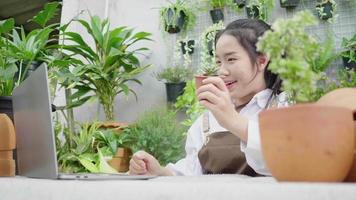 Happy Asian young woman selling plants online, holding plant product and using laptop to explain about the details to her customer by Video call. Selling online concept, good services