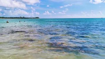 plage mexicaine tropicale 88 punta esmeralda playa del carmen mexique. video