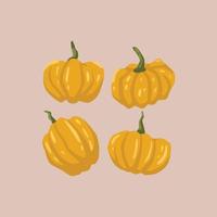 Hand drawn cute pumpkin. flat illustration Premium Vector