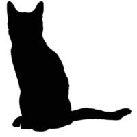silueta de gato negro vector