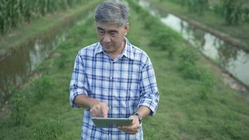 Asian Senior man farmer Holding digital tablet working in field smart farm in field pepper. Agriculture concept. Working in field harvesting crop. Old male farmer is an engaged farm in agriculture