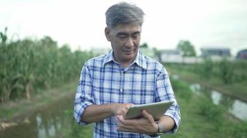 los hombres de los agricultores mayores trabajan con una tableta de computadora, sonríen para la cámara. un ingeniero agrónomo con una tableta en la mano revisa el campo. agricultura respetuosa con el medio ambiente. tecnologías digitales modernas video
