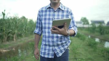 Senior Farmers men work with a computer tablet, smile for the camera. A smart agronomist with a tablet in his hands checks the field. Environmentally friendly agriculture. Modern digital technologies video