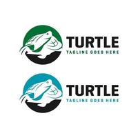 circle turtle logo design template vector