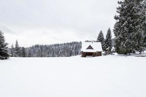 casa de madera en la montaña. paisaje de invierno. foto