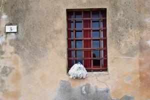 white and blue plastic bag on window photo