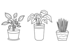 Set of potted plants. Collection of house plants in pots and planters in linear drawing style. Vector illustration isolated on white background