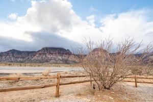 A tree and fence with clouds coming over the moountains of Red Rock Canyon in Las Vegas, NV