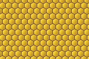 Bee hive luxury style, honey product material, background vector template graphic