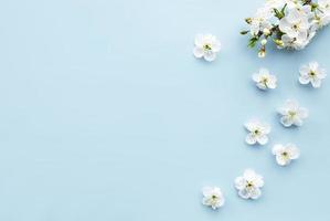 Fondo de borde de primavera con hermosas ramas de flores blancas. foto