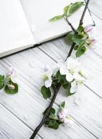 Open  book with blossom branch of apple tree photo