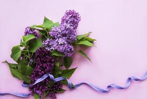 Lilac in flat style on pink background. Beautiful spring. Overhead view. Flat lay, top. Summer season. Natural spring style. photo