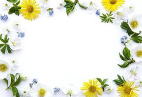 Flat lay frame with spring flowers, leaves and petals photo