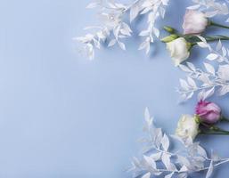 Frame of white branches on a blue background photo