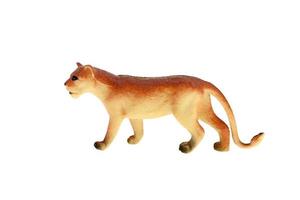 toy lioness isolated photo