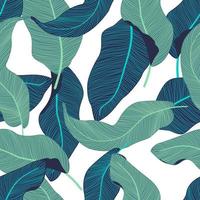 Tropical leaves, jungle leaves seamless floral pattern background vector