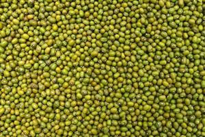 green beans texture photo