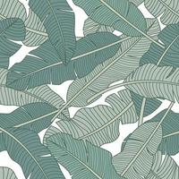 Banana leaves, jungle leaves seamless floral pattern background vector