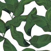 Tropical leaves, jungle leaves seamless floral pattern background vector