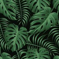 Tropical leaves, jungle leaves seamless floral pattern background vector