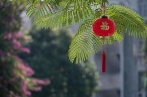 Red lanterns are hung on the trees under the blue sky, with the Chinese word fu, which means lucky photo