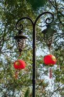 se cuelgan linternas rojas en los árboles bajo el cielo azul, con la palabra china fu, que significa suerte foto