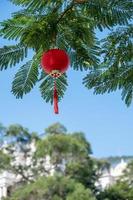 Red lanterns are hung on the trees under the blue sky, with the Chinese word fu, which means lucky photo