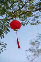 Red lanterns are hung on the trees under the blue sky, with the Chinese word fu, which means lucky photo