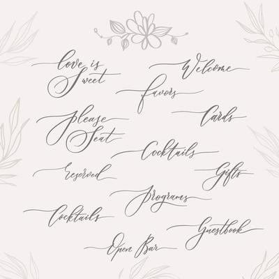 Wedding calligraphic inscriptions - welcome,open bar, please seat, reserved, gifts, cards, programs.