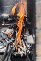 Closeup take of a traditional Argentinian and Uruguayan barbecue, Creole sausage, whit peppers and eggs photo