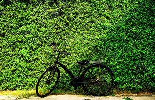 una bicicleta con una pared de árboles verdes al fondo. foto