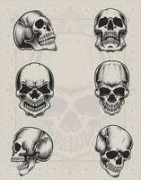 establecer ilustración seis cabezas de calavera vector