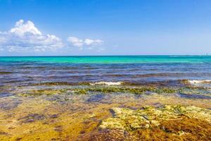 Playa colorida tropical mexicana punta esmeralda playa del carmen mexico. foto